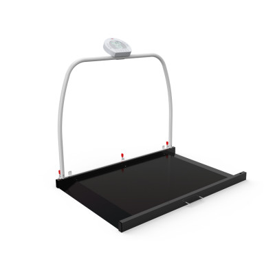 WUNDER RW2.0 DIGITAL PLATFORM SCALE WITH HANDRAIL 300 kg - Class III