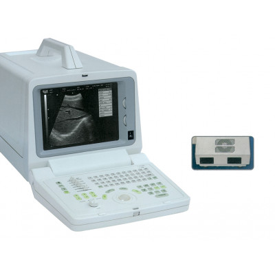 CHINSON 600M PORTABLE ULTRASOUND 2012 version